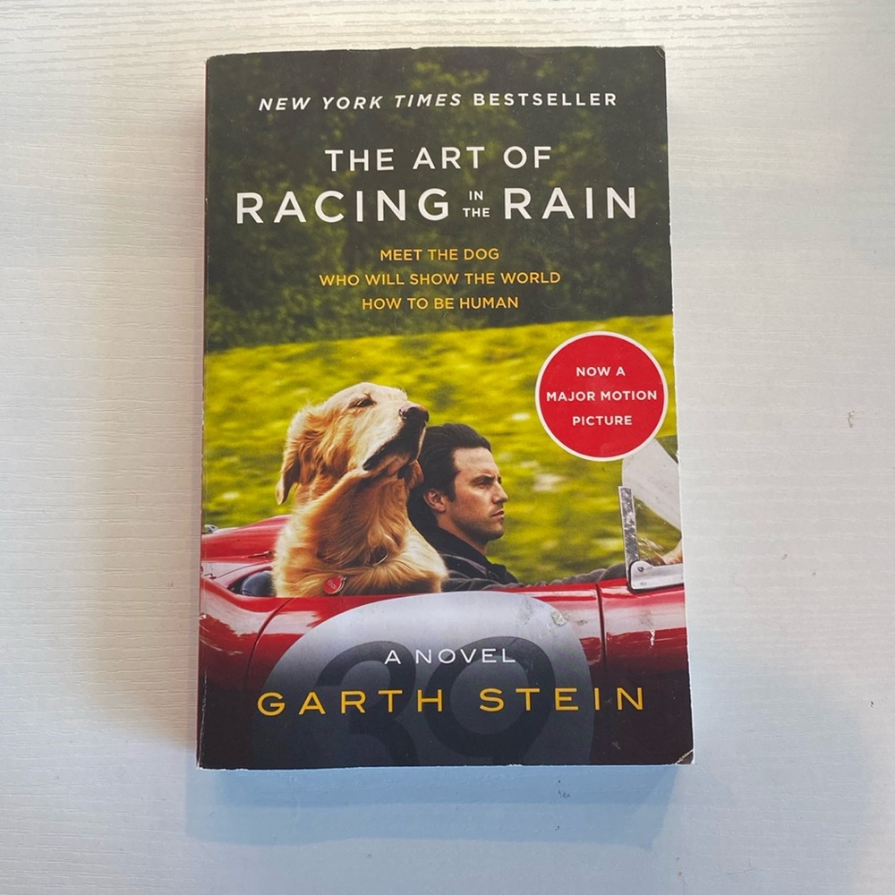 New York Times BestSeller The Art Of Racing In The Rain
